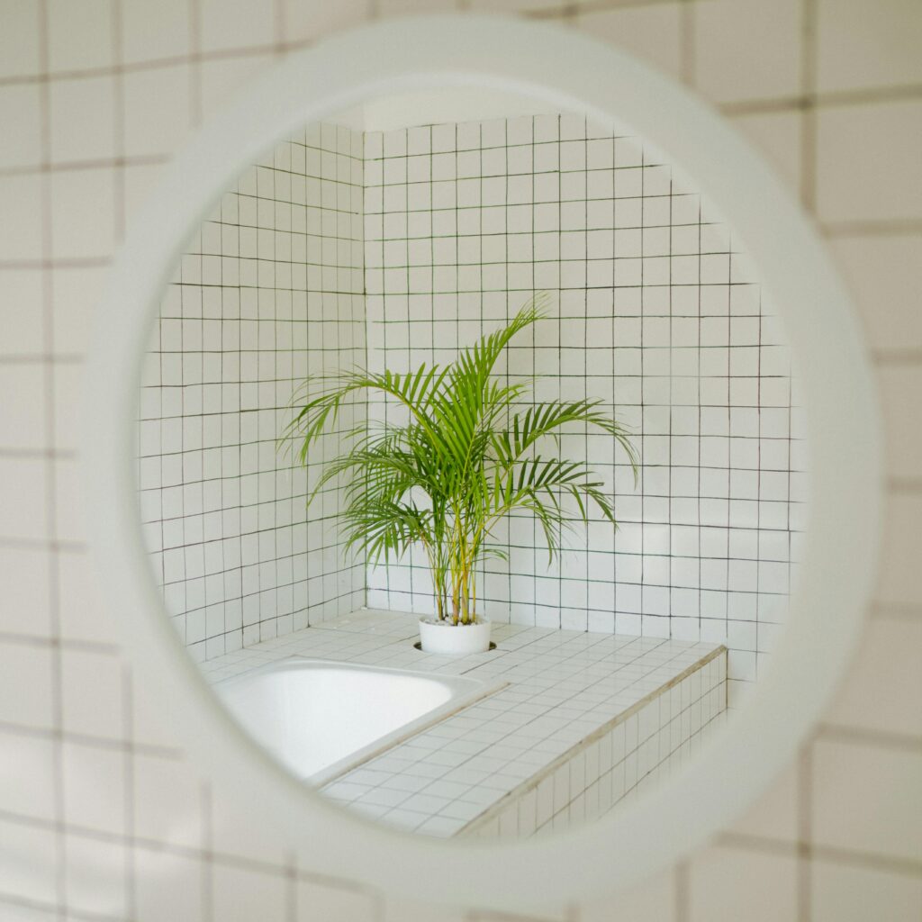 Miroir bain Valais